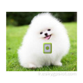 4G Small Wireless GPS Pet Tracker